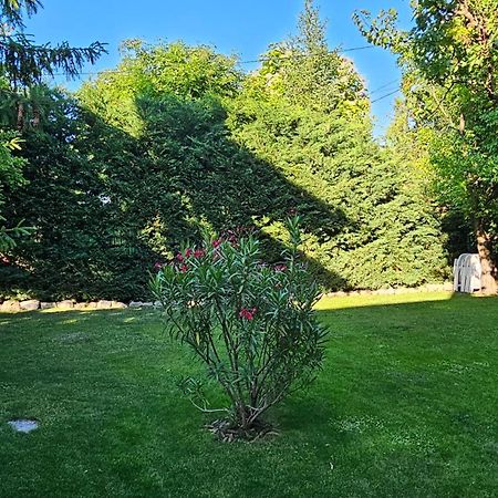Fuered Deluxe Garden Apartment Балатонфюред Экстерьер фото